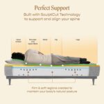 SleepyCat king size mattress - hybrid mattress for back pain - Image 4