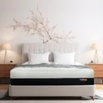 Insleep Latex Mattress | Certified Hybrid Latex with Pincore Technology | Green Tea Infused Foam Breathable & Pressure Relieving Medium Firm 5 Inch Single Mattress (72x30x5 Inch) | 5 Years Warranty