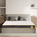 Centuary Mattresses Sleepables | 7 Years Warranty | 5-Inch Queen Size Dual Comfort Hard and Soft Reversible Roll Pack High Resilience (HR) Foam Mattress (72x60x5)