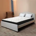 Centuary Mattresses Spine Support 6 inch Extra Firm Orthopedic Coir Mattress (King, 78X72X6)