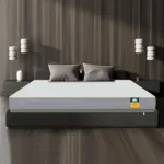 Centuary Mattresses Sleepables 6-Inch Queen Size Orthopedic Memory Foam Back Support Pressure Relieving Roll Pack High Resilience (HR) Foam Mattress | 10 Years Warranty | (72x60x6)