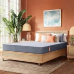 Duroflex Livein Essential - Pressure Relieving, Memory Foam Mattress Double Bed, Roll Pack, 8 Inch Double Size Medium Firm Bed Mattress with Superior Comfort & Anti Microbial Fabric (75x48x8)