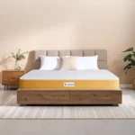 Sleepwell Dual Mattress | Reversible Mattress | Soft & Firm | High Density PU Foam | Soft Resitec Foam | King Size | 78X72X8 | 10 Yrs Warranty