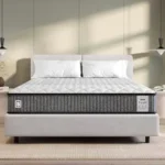 Springwel Essential Reversible 4 Inch Mattress | 15 Yrs Warranty | HR Foam | Medium Firm Quilted Mattress with Breathable & Anti Microbial Bamboo Charcoal Fabric Cover | Queen Size (72X60X4) Inches