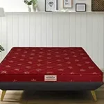 Springtek Amaze Eco Premium High Density Foam Mattress | 4 Inches Quilted Anti-Microbial Fabric Eco HD EPE Foam Mattresses | Single Size Gadda | 72x30 Inches