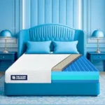 The Sleep Company Luxe Pro Mattress | SmartGRID + Natural Latex | Plush Medium-Soft Feel | Premium Latex for Luxury Sleep | Queen Size Bed Mattress 78x60x6