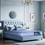 Duroflex Up Right - Duropedic with Doctor Recommended |5 Zone Dual Density Orthopedic Support Layer |5 Inch Single Size PU Bonded Foam Mattress, (72x36x5 Inch)