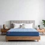 Kurlon Duo Rest Essential Mattress | Reversible Foam Mattress | Dual Comfort | Firm & Gentle Sides | Orthopedic Support | 20-Year Warranty | Queen 78X60X5