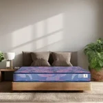 Sleepwell Champ Classic Ortho Mattress | Soft Plush Top | Firm Feel Mattress | Back Support | Anti-Bacterial Technology | Triple Layer Quiltec Foam | Single Size | 72X36X4 | 10 Years Warranty