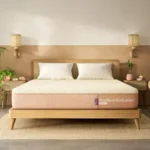 Wakefit Mattress | 10 Years Warranty | ErgoTech EcoLatex Classic Mattress, Double Bed, Natural Latex Mattress, 8-Inch Bed Mattress, King Size (75x72x8 Inches, Firm, 7-Zone)