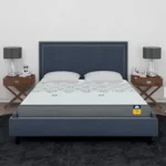 Centuary Mattresses Sleepables 6-Inch Queen Size Ortho Pocketed Zero Partner Disturbance Plush Quilted Rolled Packed Pocket Spring Mattress (75x60x6)